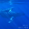 About Whales and Me Song