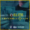 About Expensive Pain Song