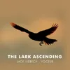 About The Lark Ascending (Arr. for violin and choir by Paul Drayton) Song