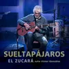 About Sueltapájaros Song