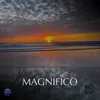 Magnifico