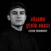 About Ağlama Şəhid Anası Song