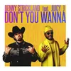 About Don't You Wanna (feat. Juicy J) Song