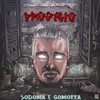 About Sodoma e Gomorra Song