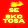 About Se Skotosa Song