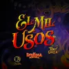 About El Mil Usos Song