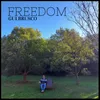 About Freedom Song