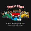 About Trotro Vibes Song