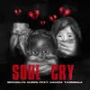 About Soul Cry Song