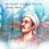 About Gönüller Yapmaya Geldim Song