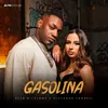 About Gasolina Song