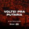 About Voltei Pra Putaria Song