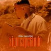 About Sigo Esperando Song