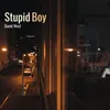 About Stupid Boy Song