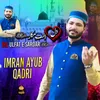 About Dil Ulfat E Sardar Song