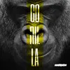 About Gorilla Song
