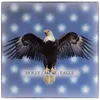 Eagle (Wildlife Aid Charity Single)