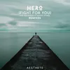 Hero (Fight for You)