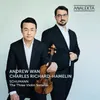 Violin Sonata No. 1 in A Minor, Op. 105: II. Allegretto