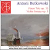 Violin Sonata in C Minor, Op. 5: IV. Rondo-Finale