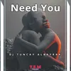 About Need You Song