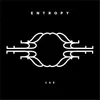 About Entropy Song