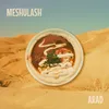 Here Comes the Meshulash