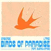 About Birds of Paradise Song