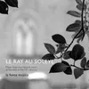 Le Ray Au Soleyl