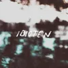 About Idioten Song