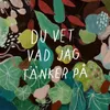 About Du vet vad jag tänker på Song