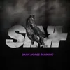 Dark Horse Running