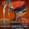 Slavonic Dances, Op. 72: VII. Presto