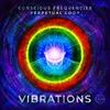 About Vibrations Song