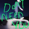 About Don't Need You Song