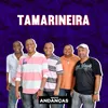 About Tamarineira Song