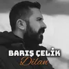 About Dîlan Song