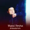About Arzularım Song