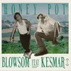 About Honey Pot Song