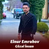 About Gözəl İnsan Song