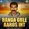 Banda Gule Aaros Int