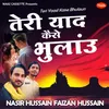 About Teri Yaad Kaise Bhulaun Song