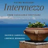 About Cavalleria Rusticana: Intermezzo (Arr. for Guitar and Violin by Lorenzo Bernardi & Saverio Gabrielli) Song