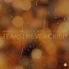 About Tears I Never Cried Song