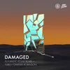 About Damaged Song