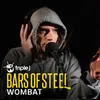 About Wombat Song