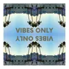 About Vibes Only Song