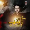 About Rok Le Zainab S.A Song