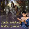 About Radhe Krishna Radhe Krishna Song