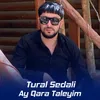 Ay Qara Taleyim